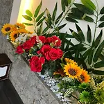 Histavera * Istanboel